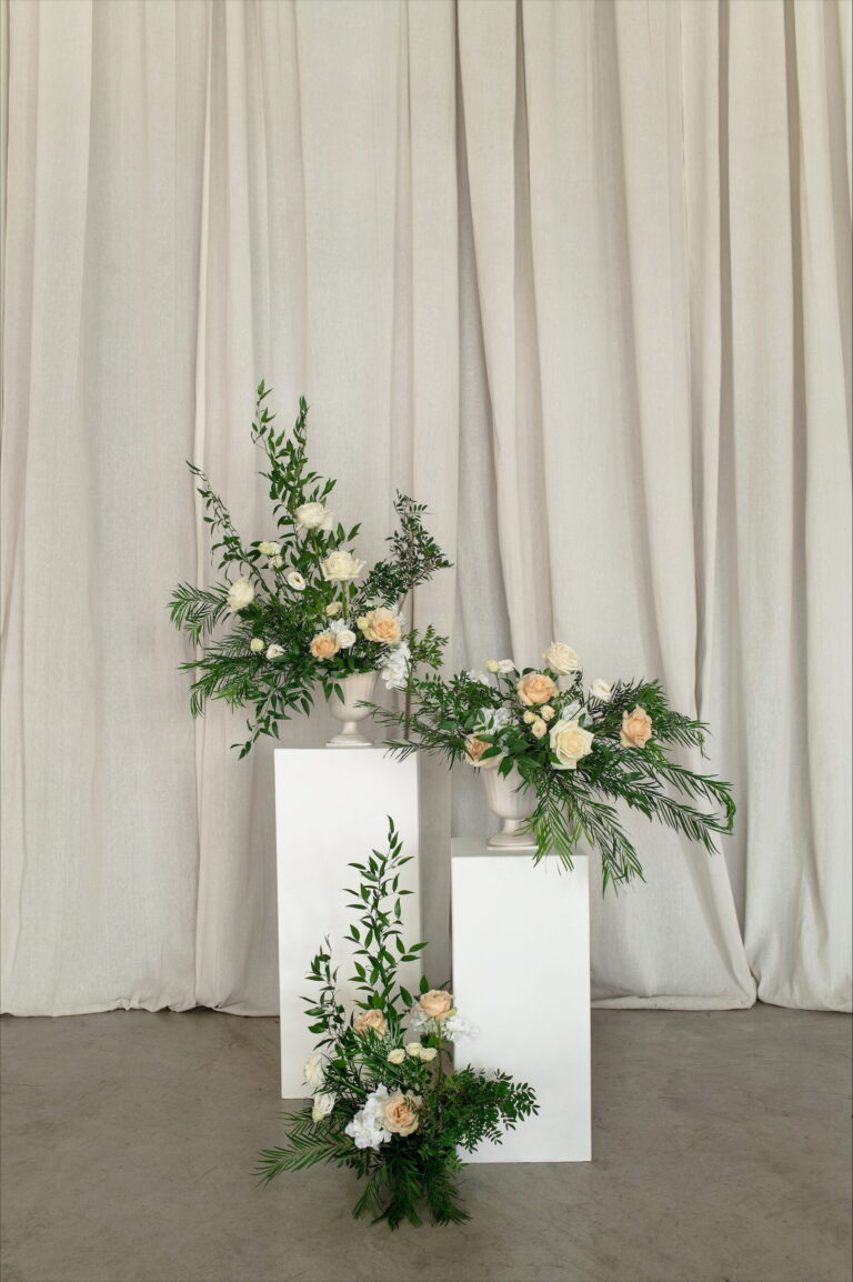 BLS-Événements : photo 11