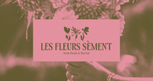 Logo de Les fleurs sèment